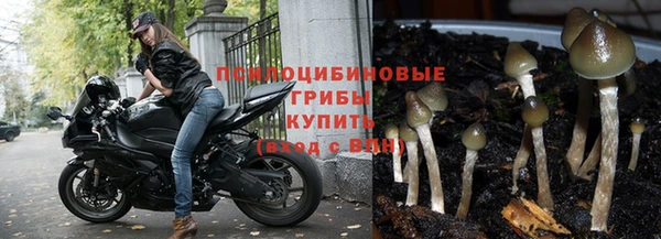 mdpv Остров
