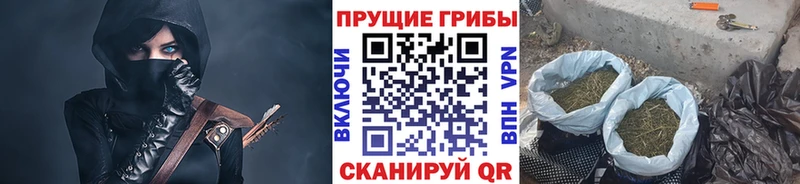цены наркотик  Навашино  Псилоцибиновые грибы Cubensis 